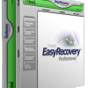 Логотип Ontrack EasyRecovery Pro
