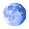 Логотип Pale Moon